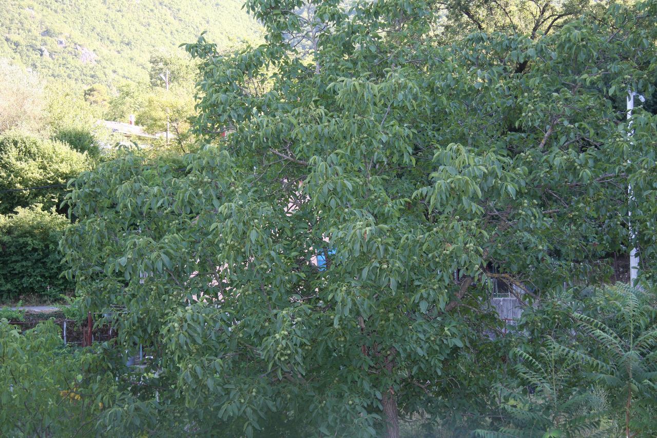 Vrzina Farm House Skadar Lake Virpazar Eksteriør bilde