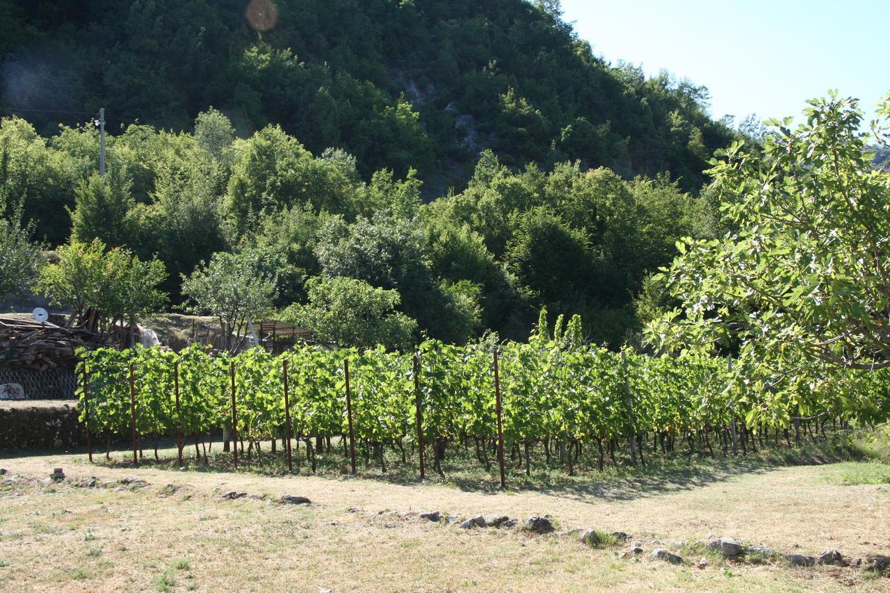 Vrzina Farm House Skadar Lake Virpazar Eksteriør bilde