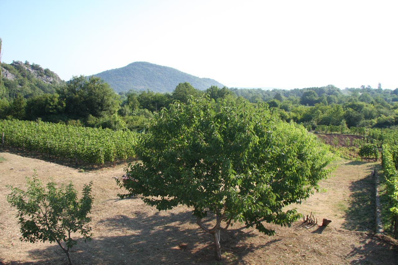 Vrzina Farm House Skadar Lake Virpazar Eksteriør bilde