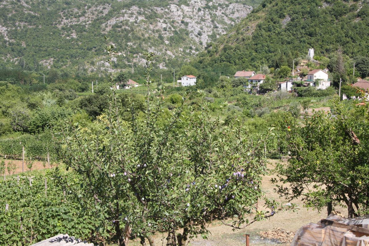Vrzina Farm House Skadar Lake Virpazar Eksteriør bilde